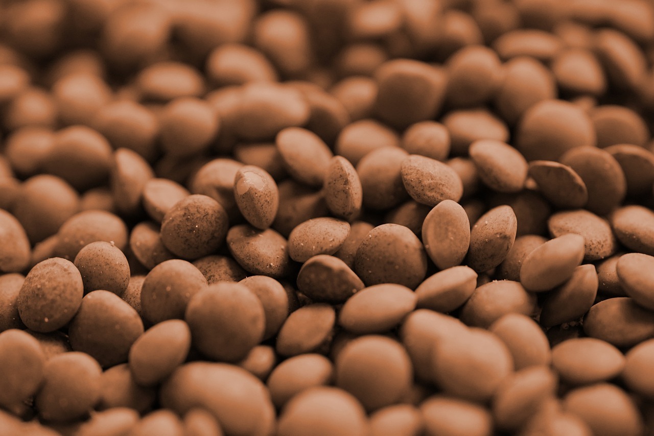 Lentils Vegetables
