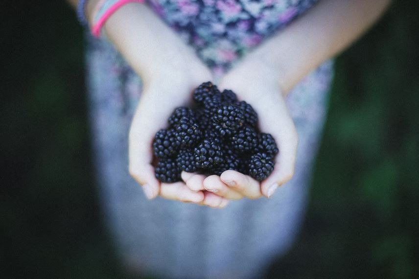 Blackberry Honey Mustard