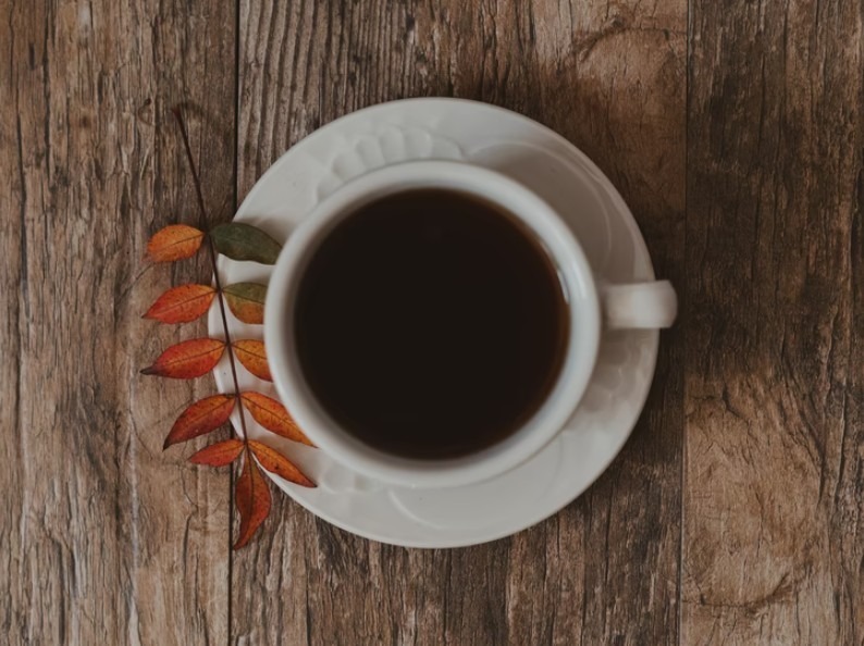 France The Pioneer of Tea