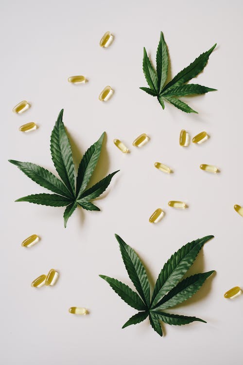 The Ultimate Guide to CBD Capsules