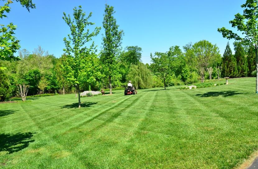 How Often Your Utah Lawn Needs Fertilizer