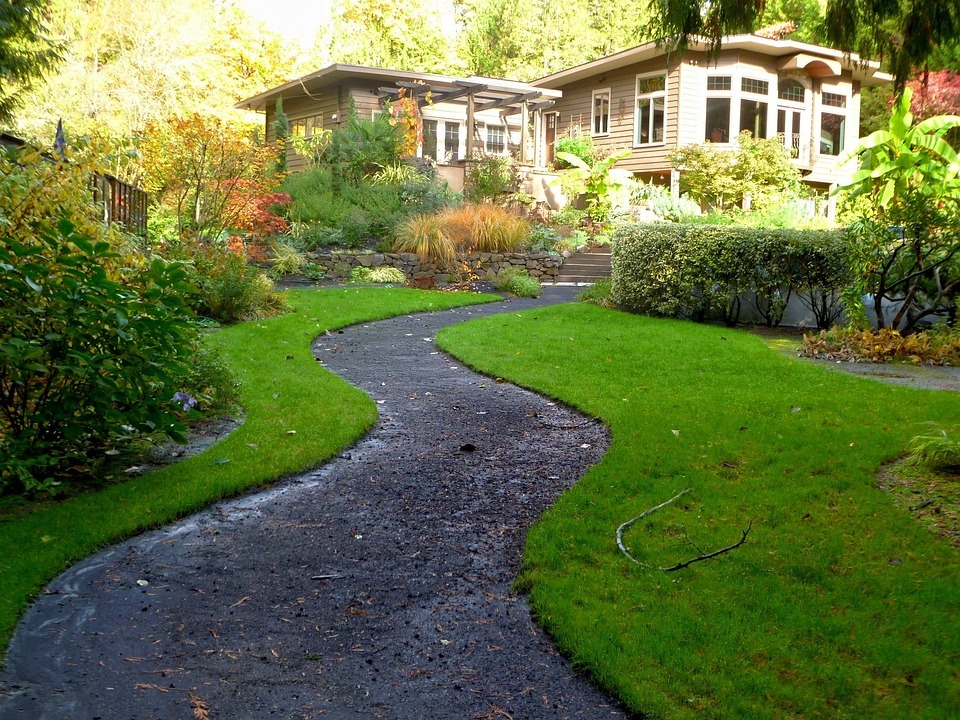 6 Ways to Create a Lush Backyard Sanctuary