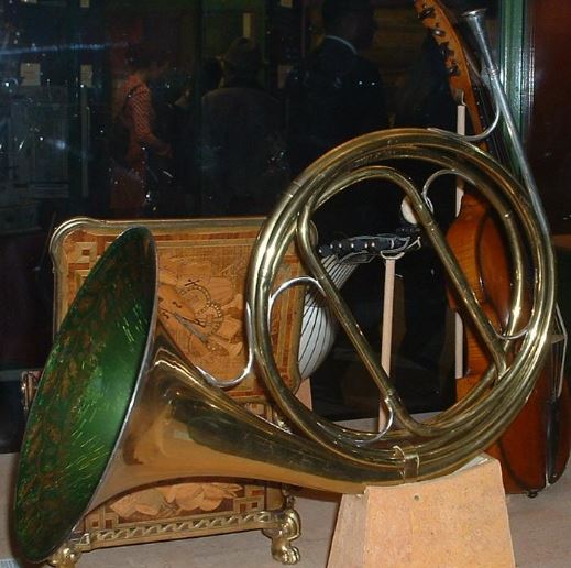 A-glimpse-of-the-Natural-French-horn.