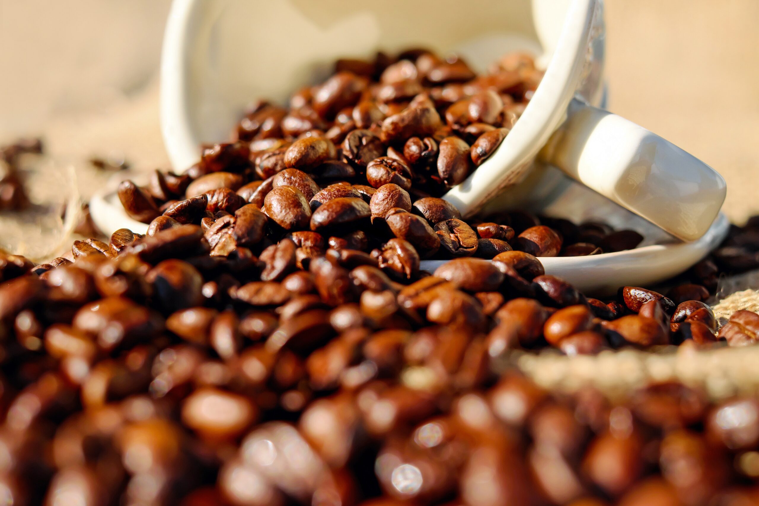How to Store Colombian Coffee Beans for Freshness