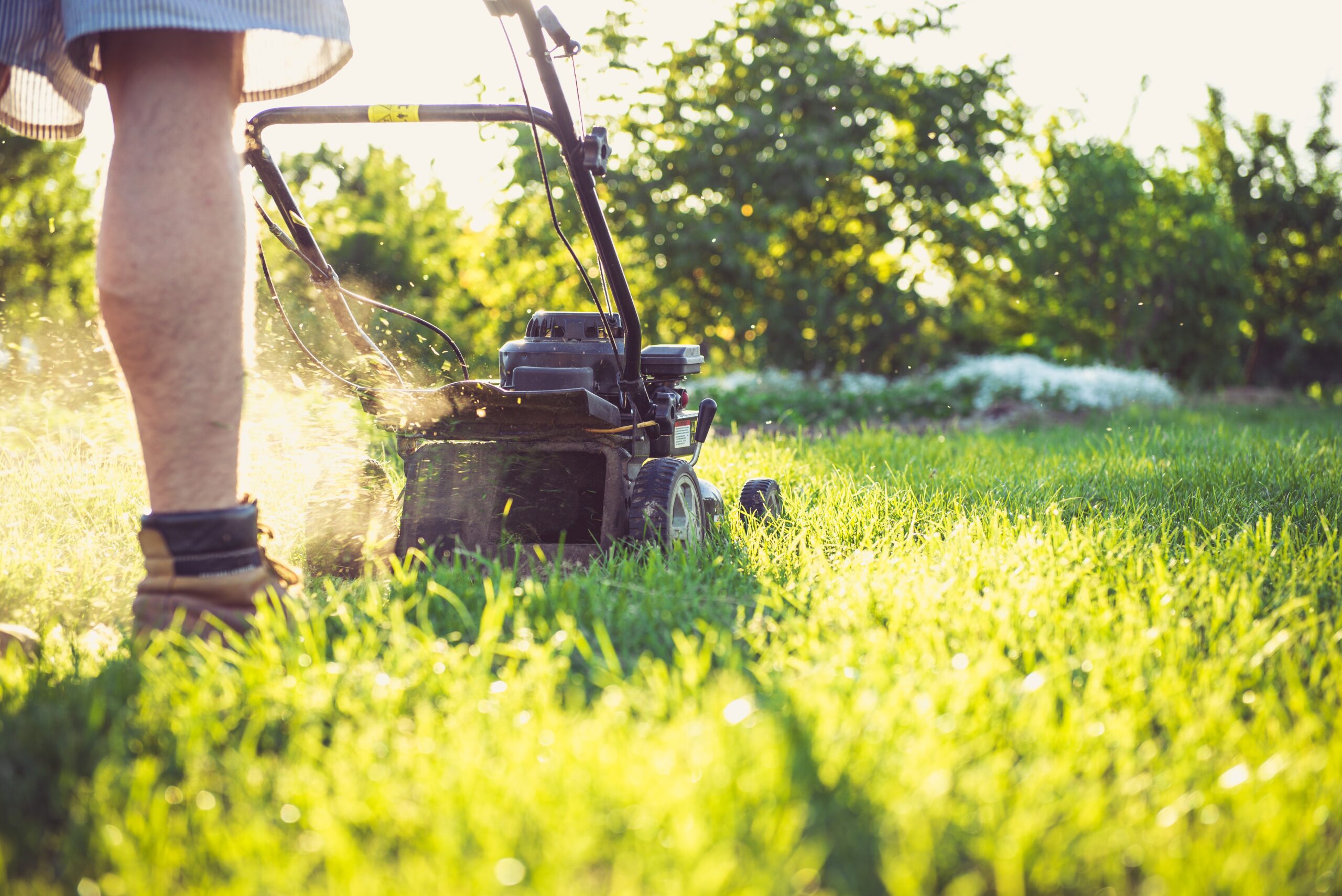What to Look For in Commercial Lawn Care Services