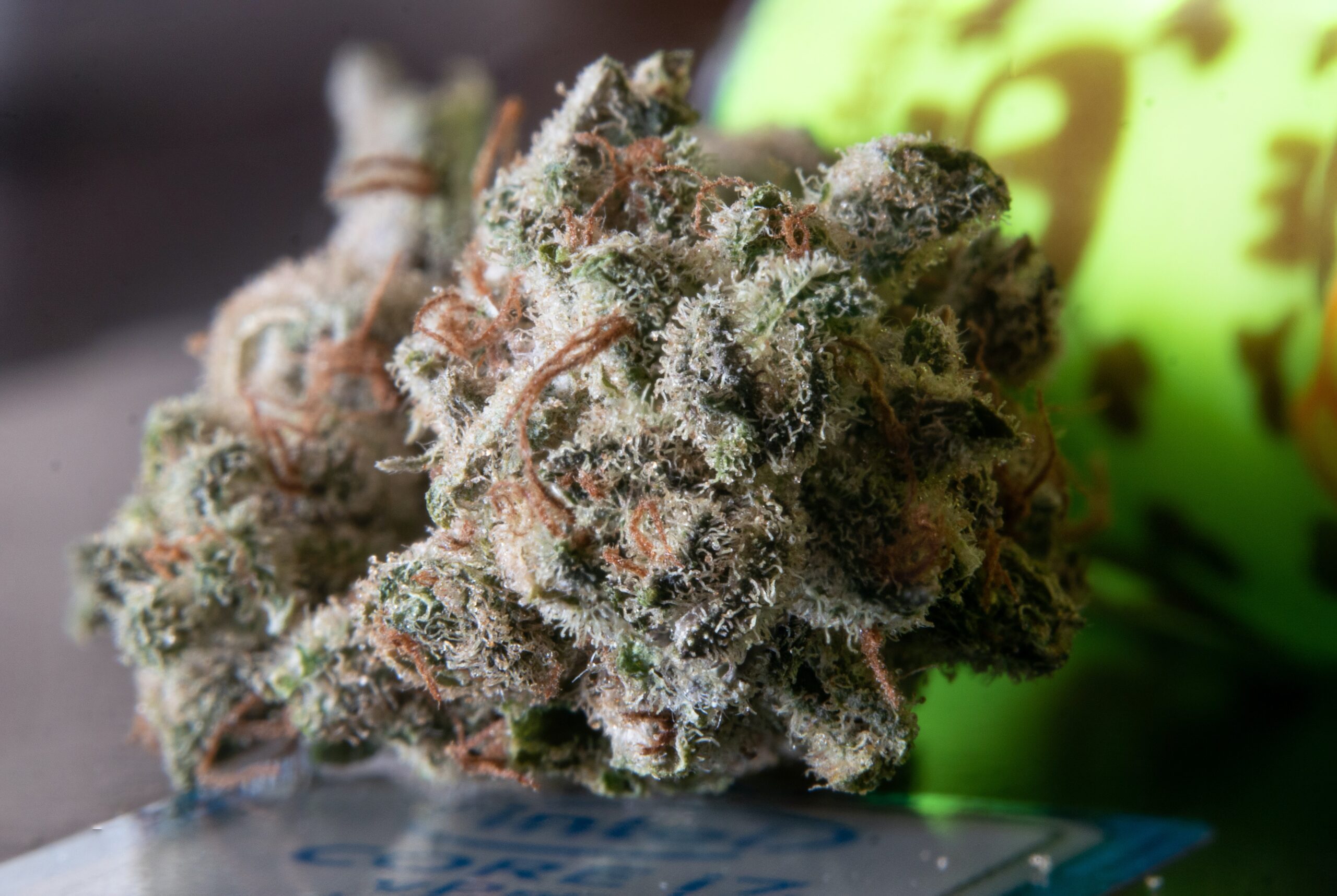What Are the Common Effects of Hybrid Strains
