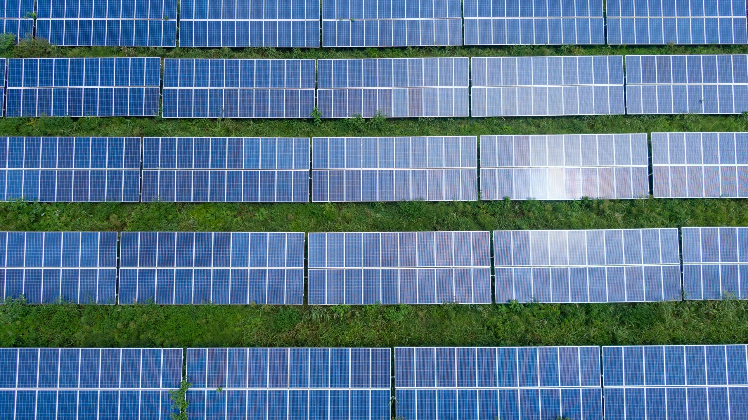 How Solar Energy is Transforming Restaurants